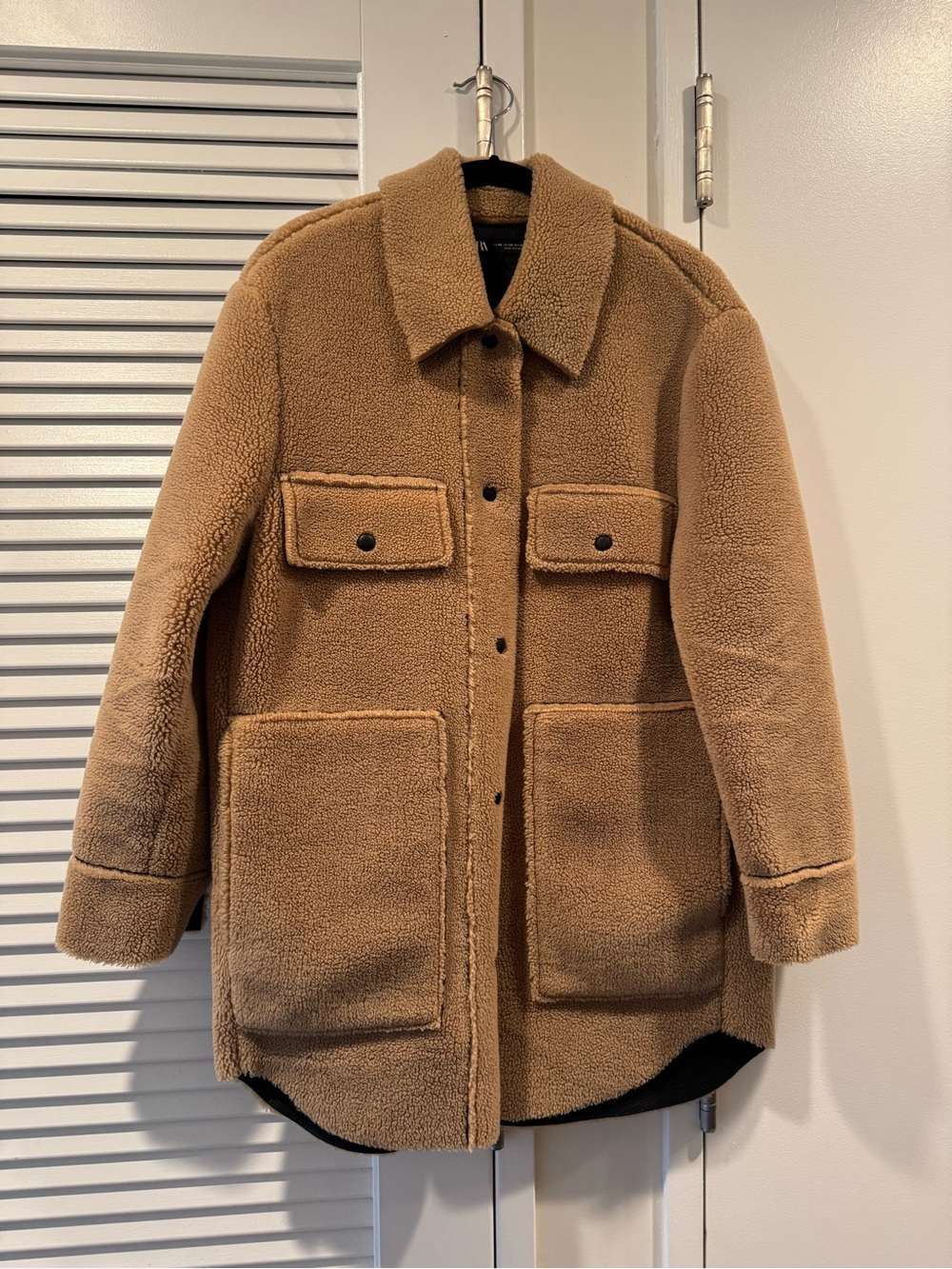 Zara Teddy Jacket